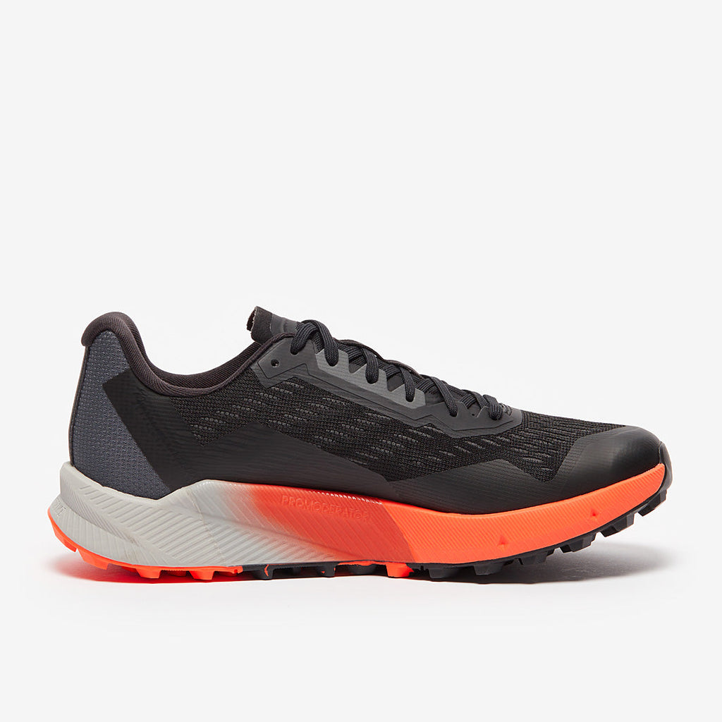 adidas Terrex Agravic Flow 2