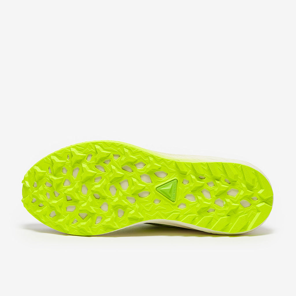 ASICS Fuji-Lite 5