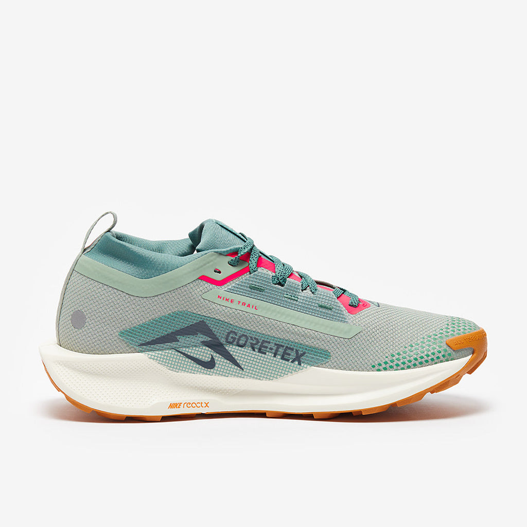 Nike Pegasus Trail 5 GORE-TEX