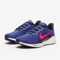 Nike Pegasus 41