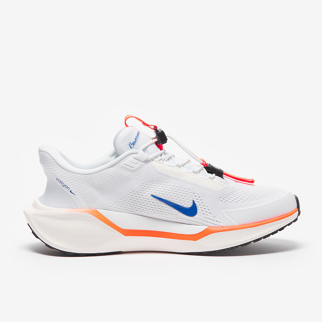 Nike Pegasus Easyon Zoom