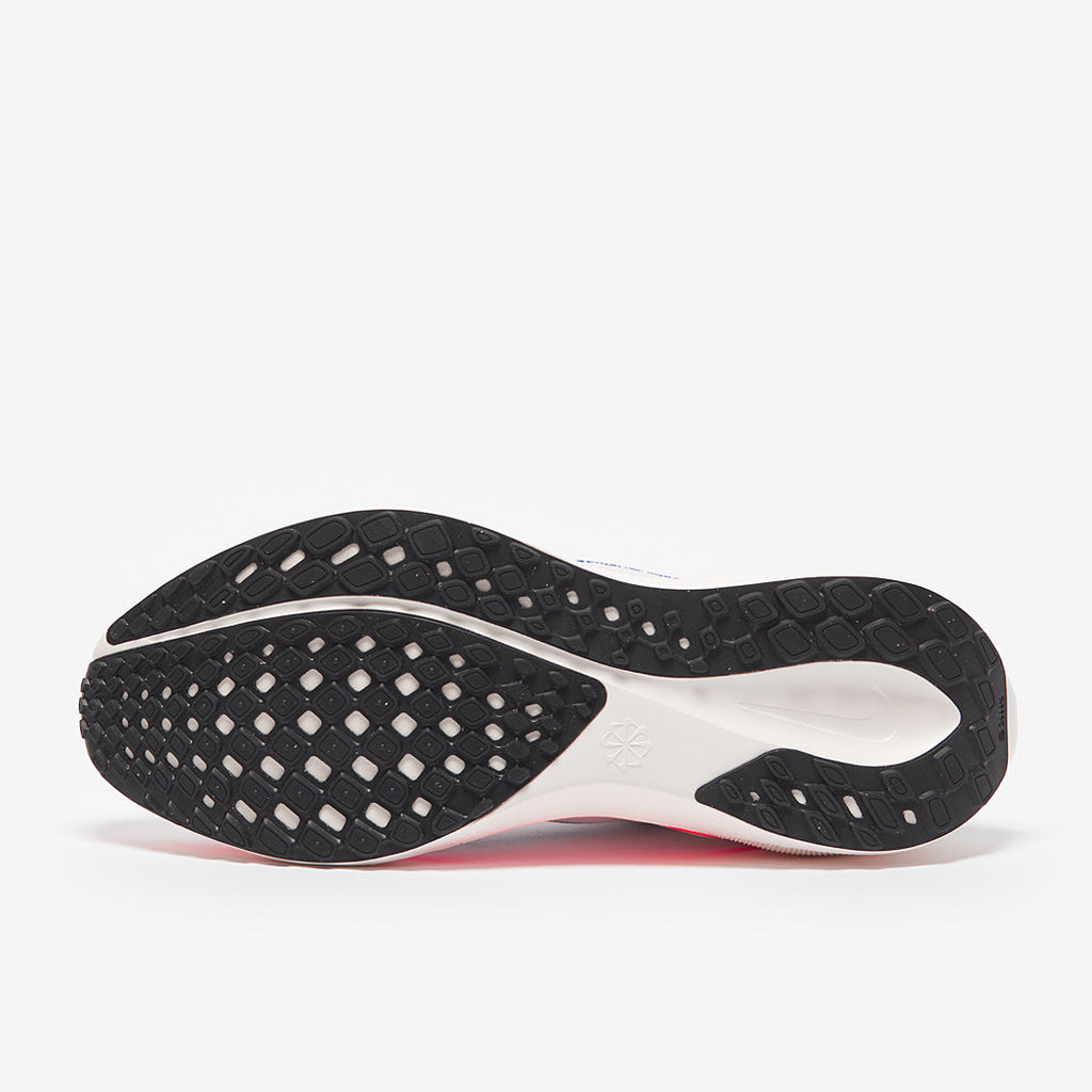 Nike Pegasus Easyon Zoom
