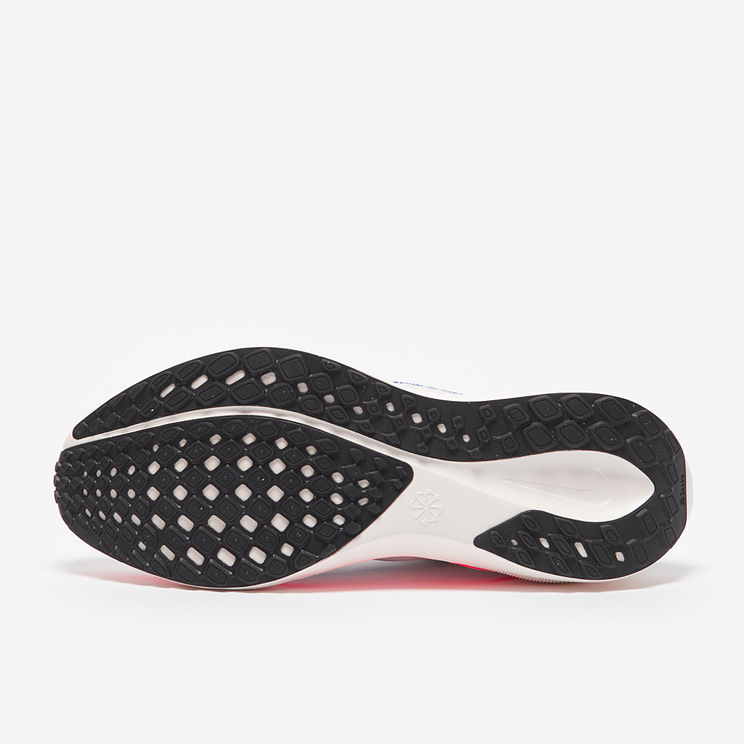 Nike Pegasus Easyon Zoom