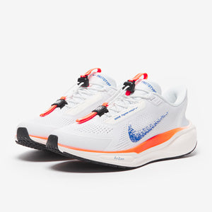 Nike Pegasus Easyon Zoom