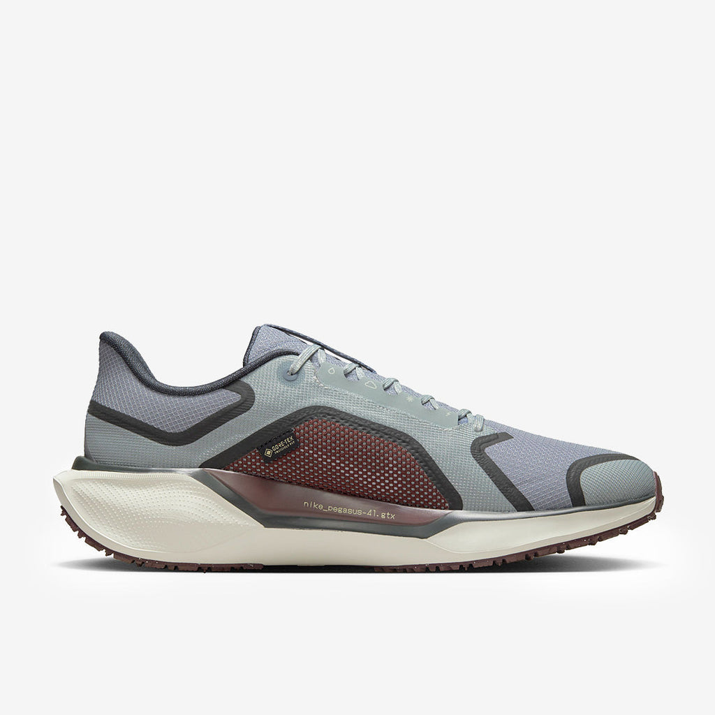 Nike Pegasus 41 GORE-TEX - Light Pumice/Ashen Slate