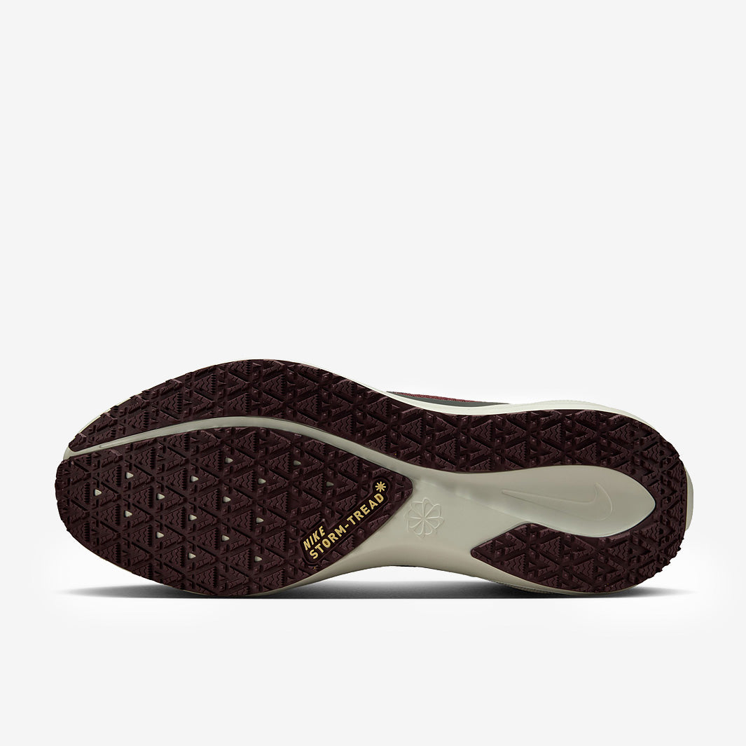 Nike Pegasus 41 GORE-TEX - Light Pumice/Ashen Slate