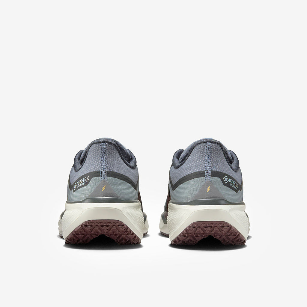 Nike Pegasus 41 GORE-TEX - Light Pumice/Ashen Slate