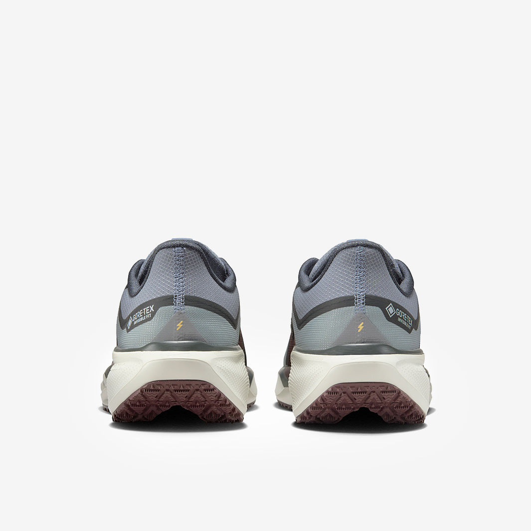 Nike Pegasus 41 GORE-TEX - Light Pumice/Ashen Slate