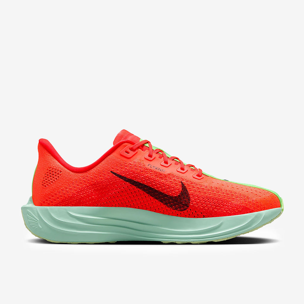 Nike Pegasus Plus
