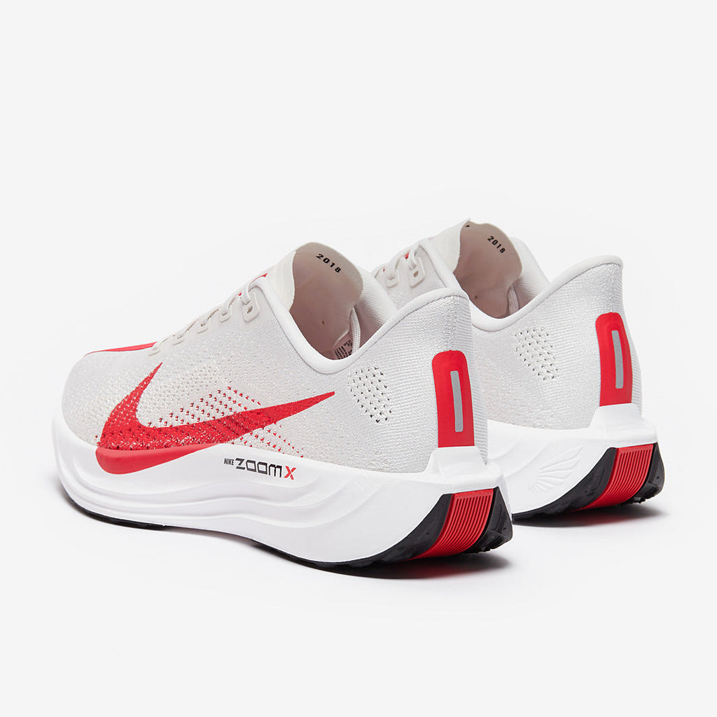 Nike Pegasus Plus