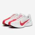 Nike Pegasus Plus
