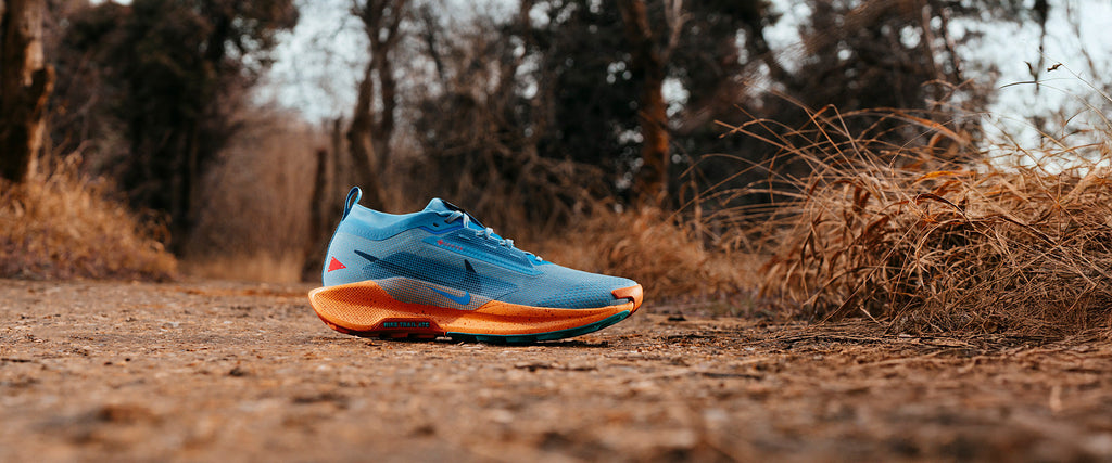 Nike Pegasus Trail 5 GORE-TEX