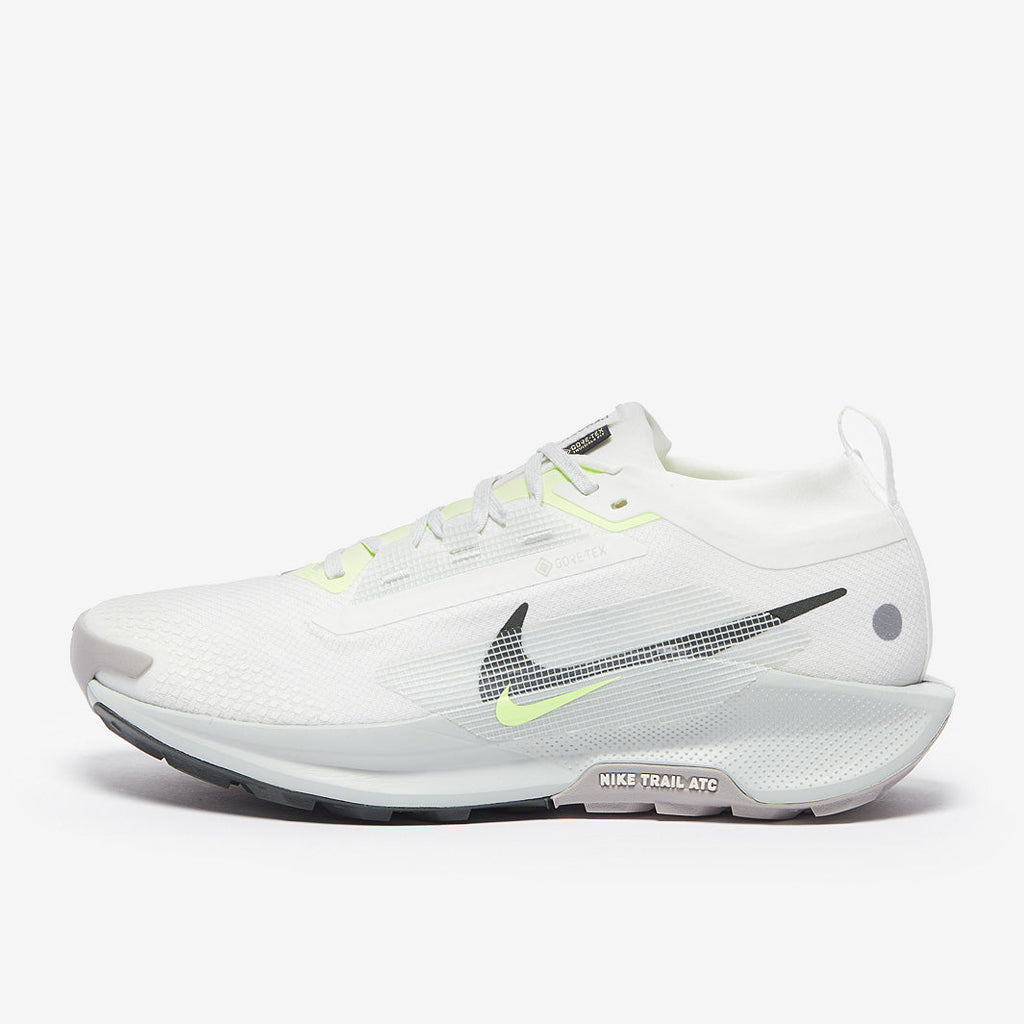 Nike Pegasus Trail 5 GORE-TEX