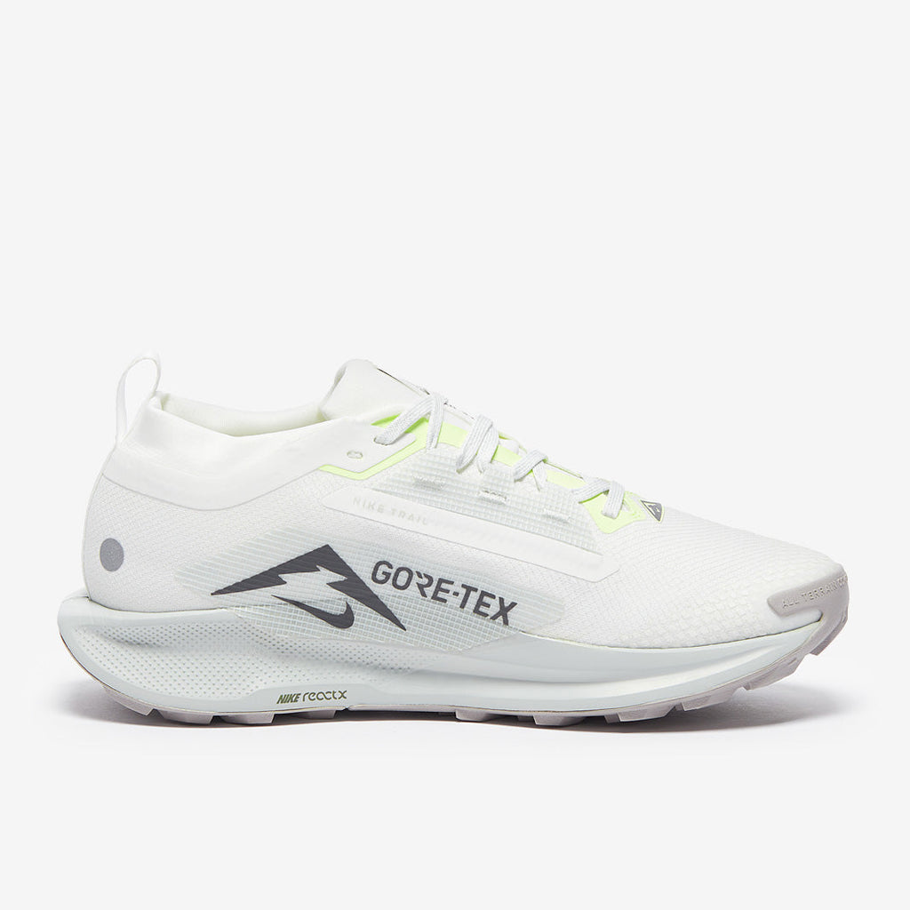 Nike Pegasus Trail 5 GORE-TEX