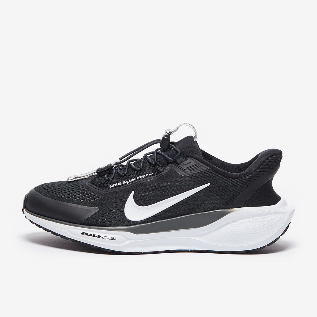 Nike Pegasus Easyon