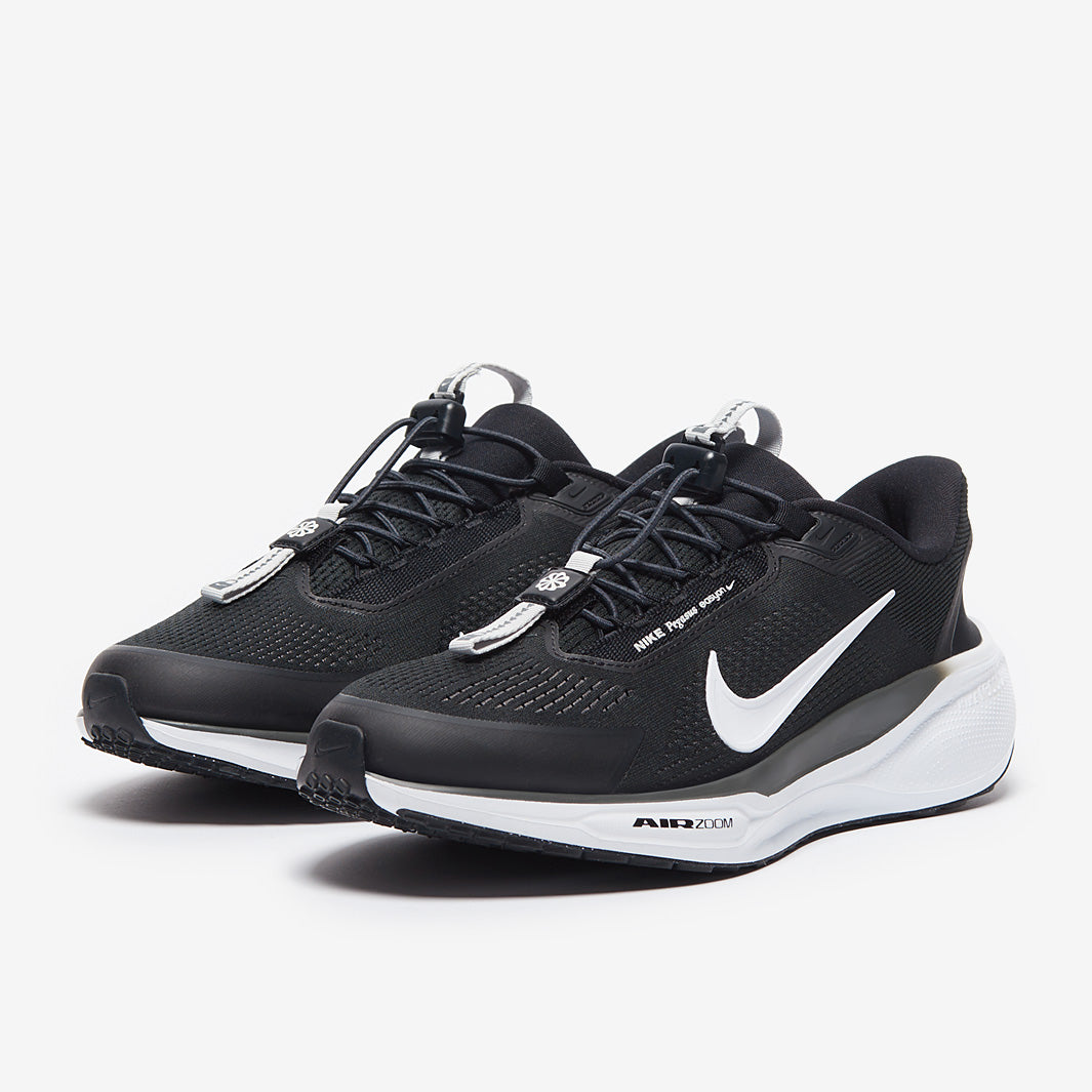 Nike Pegasus Easyon