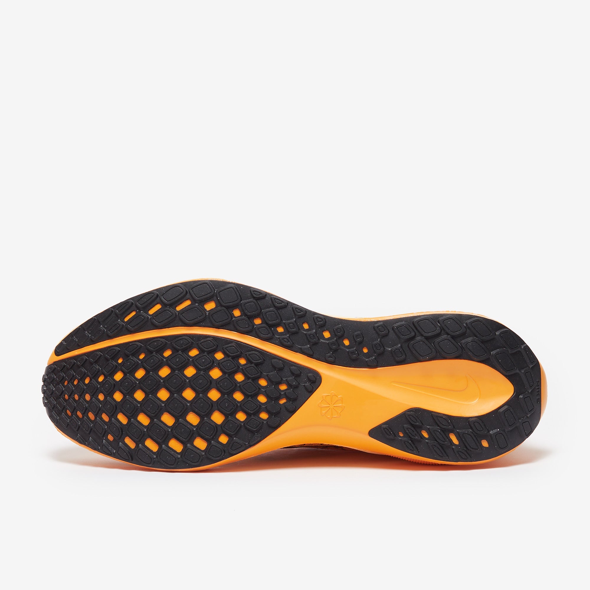 Nike Pegasus 41