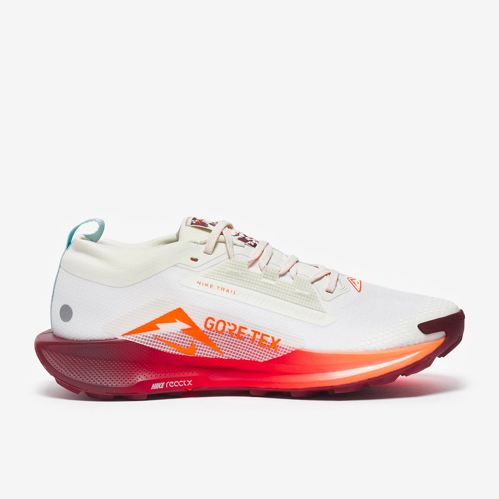 Nike Pegasus Trail 5 GORE-TEX