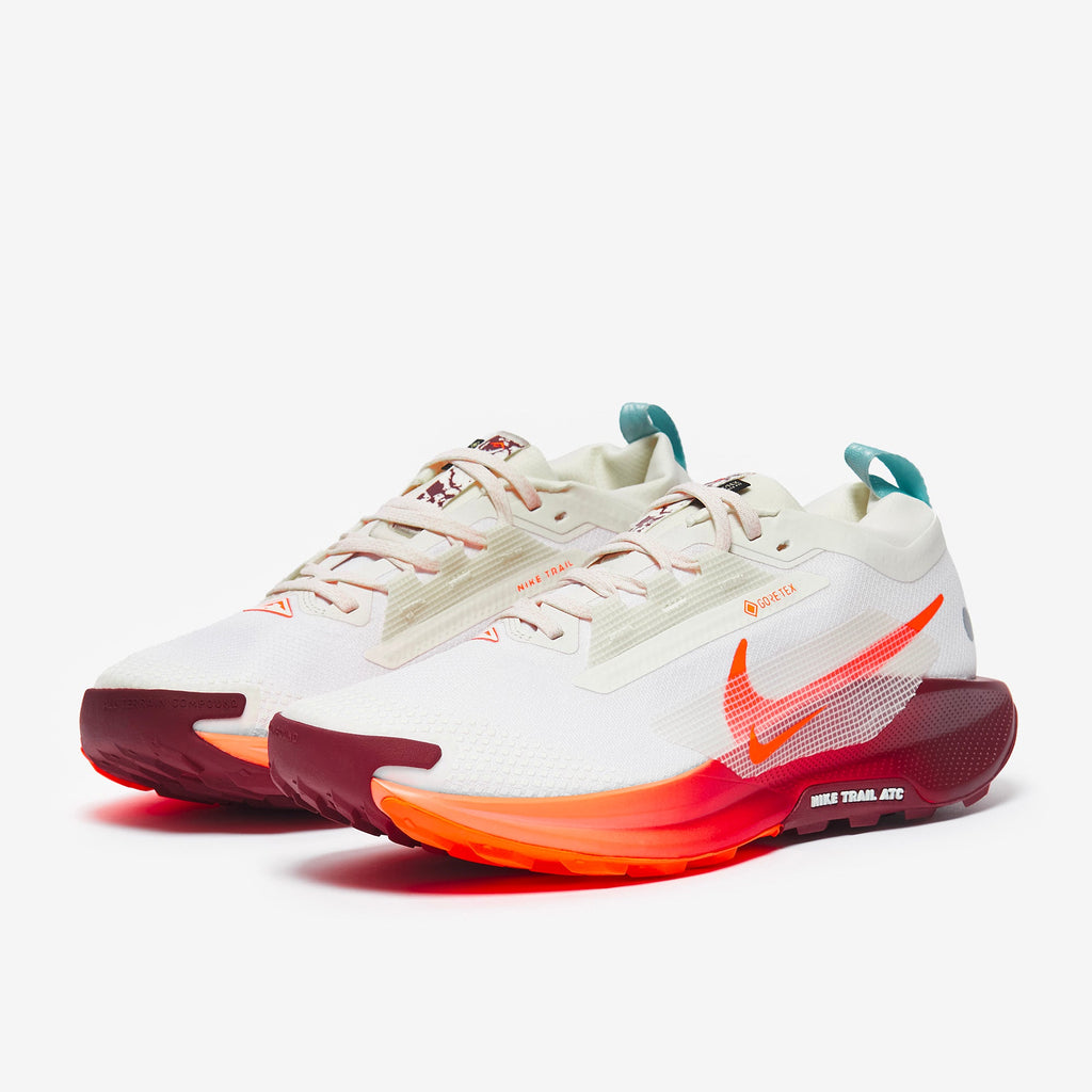 Nike Pegasus Trail 5 GORE-TEX