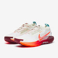Nike Pegasus Trail 5 GORE-TEX