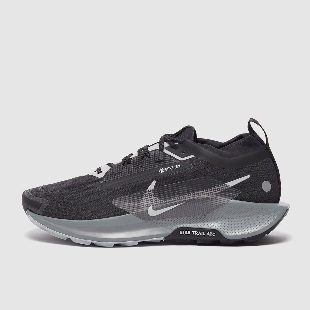 Nike Pegasus Trail 5 GORE-TEX