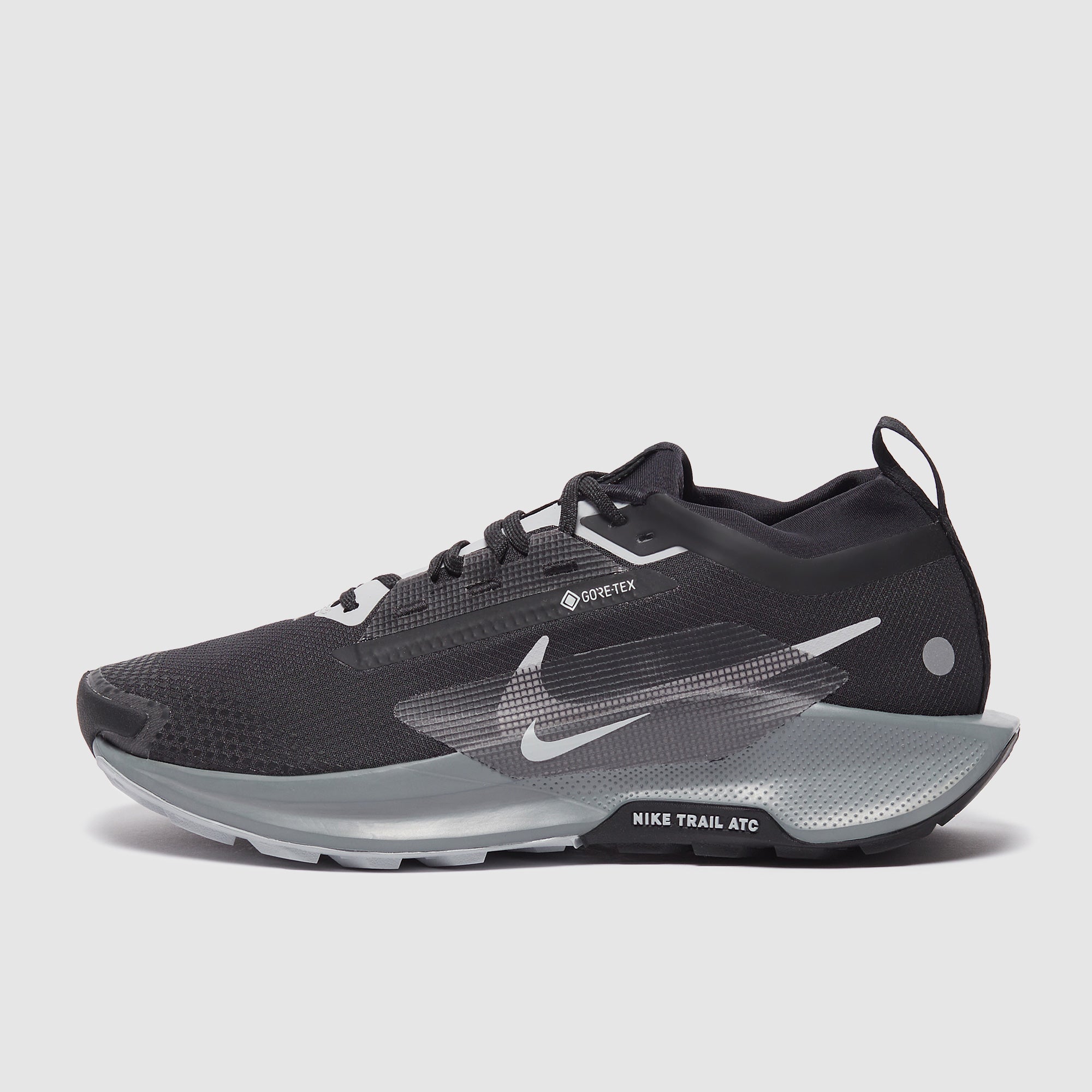 Nike Pegasus Trail 5 GORE-TEX