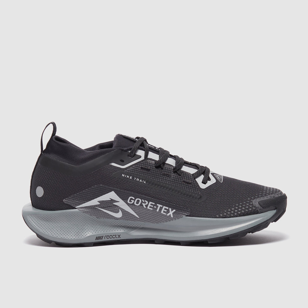 Nike Pegasus Trail 5 GORE-TEX