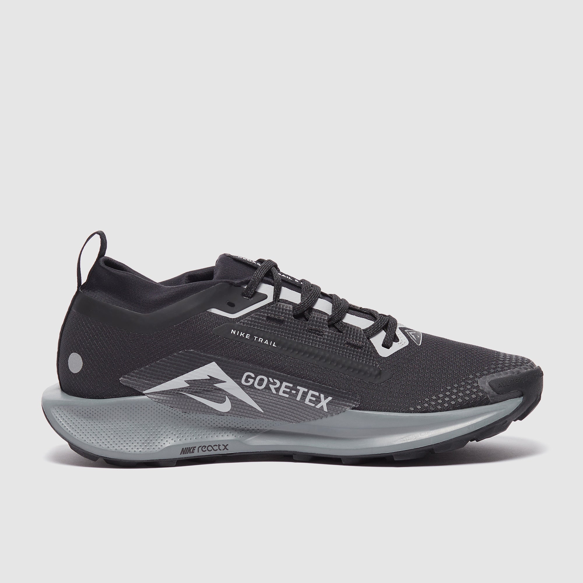 Nike Pegasus Trail 5 GORE-TEX