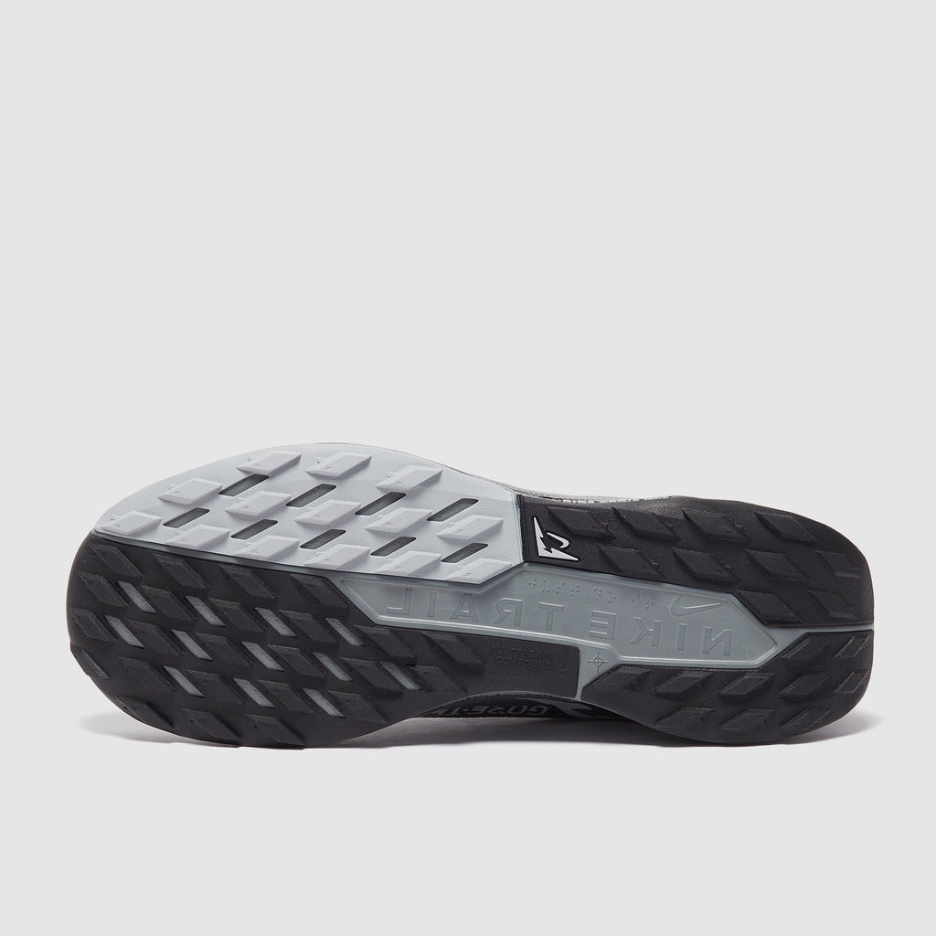 Nike Pegasus Trail 5 GORE-TEX