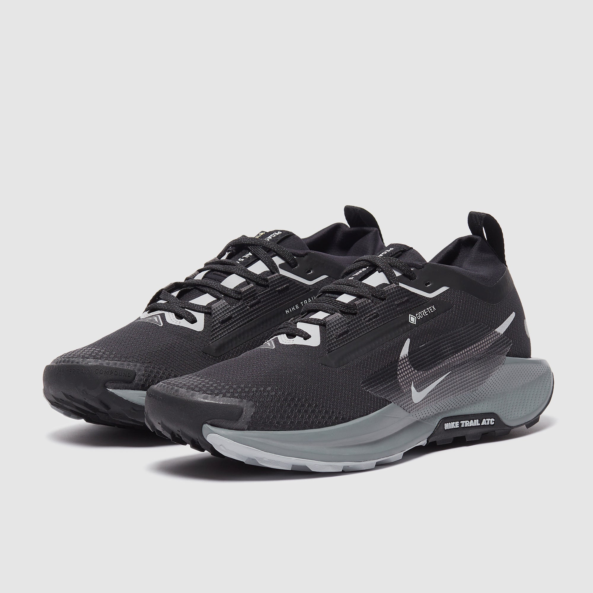 Nike Pegasus Trail 5 GORE-TEX