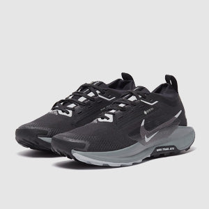 Nike Pegasus Trail 5 GORE-TEX