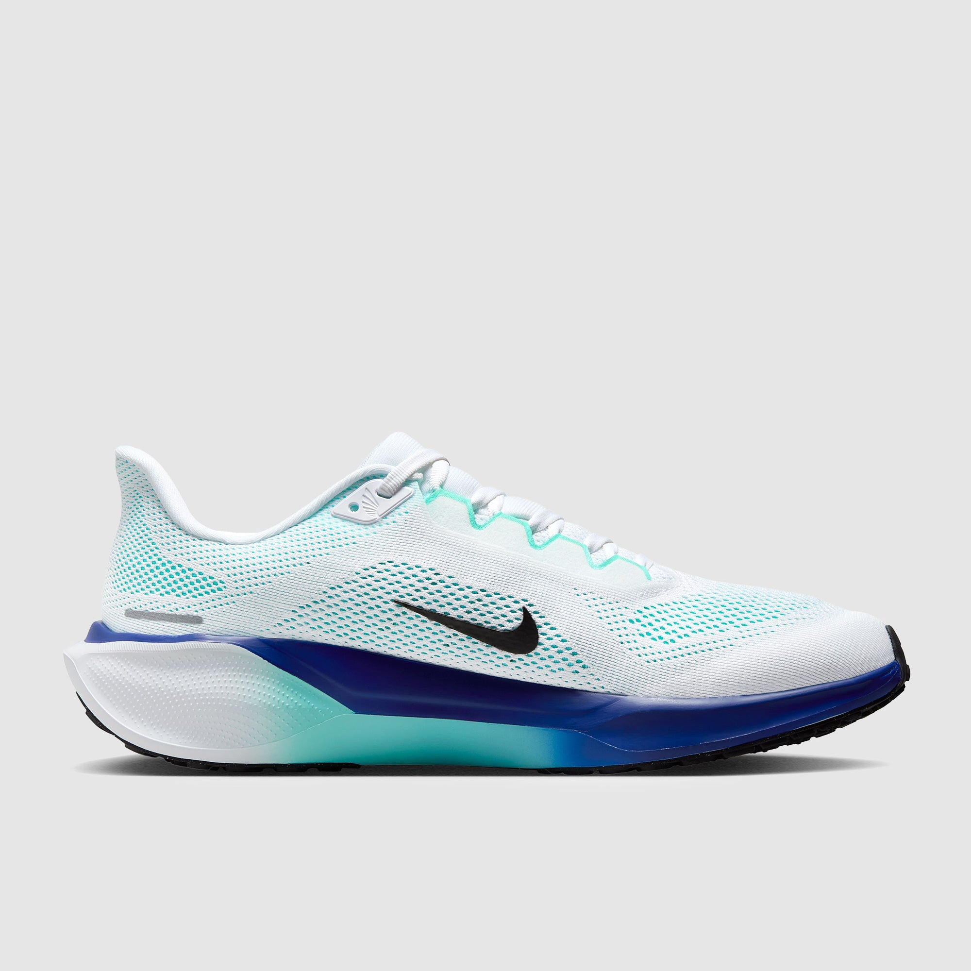 Nike Pegasus 41