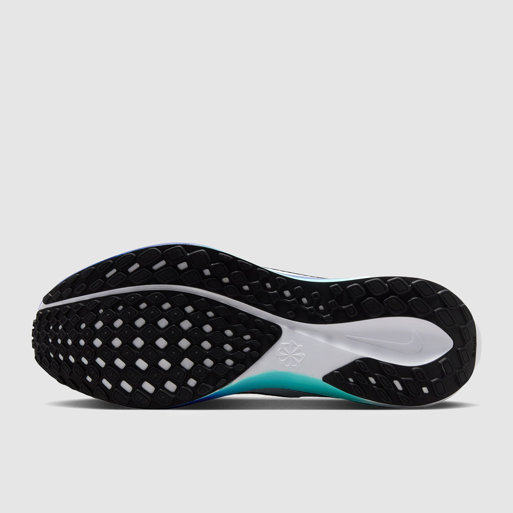 Nike Pegasus 41