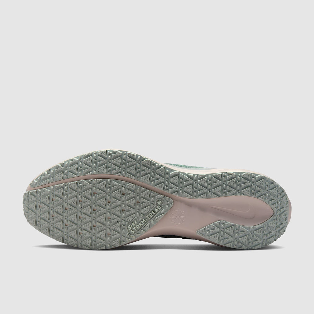 Nike Pegasus 41 GORE-TEX Waterproof