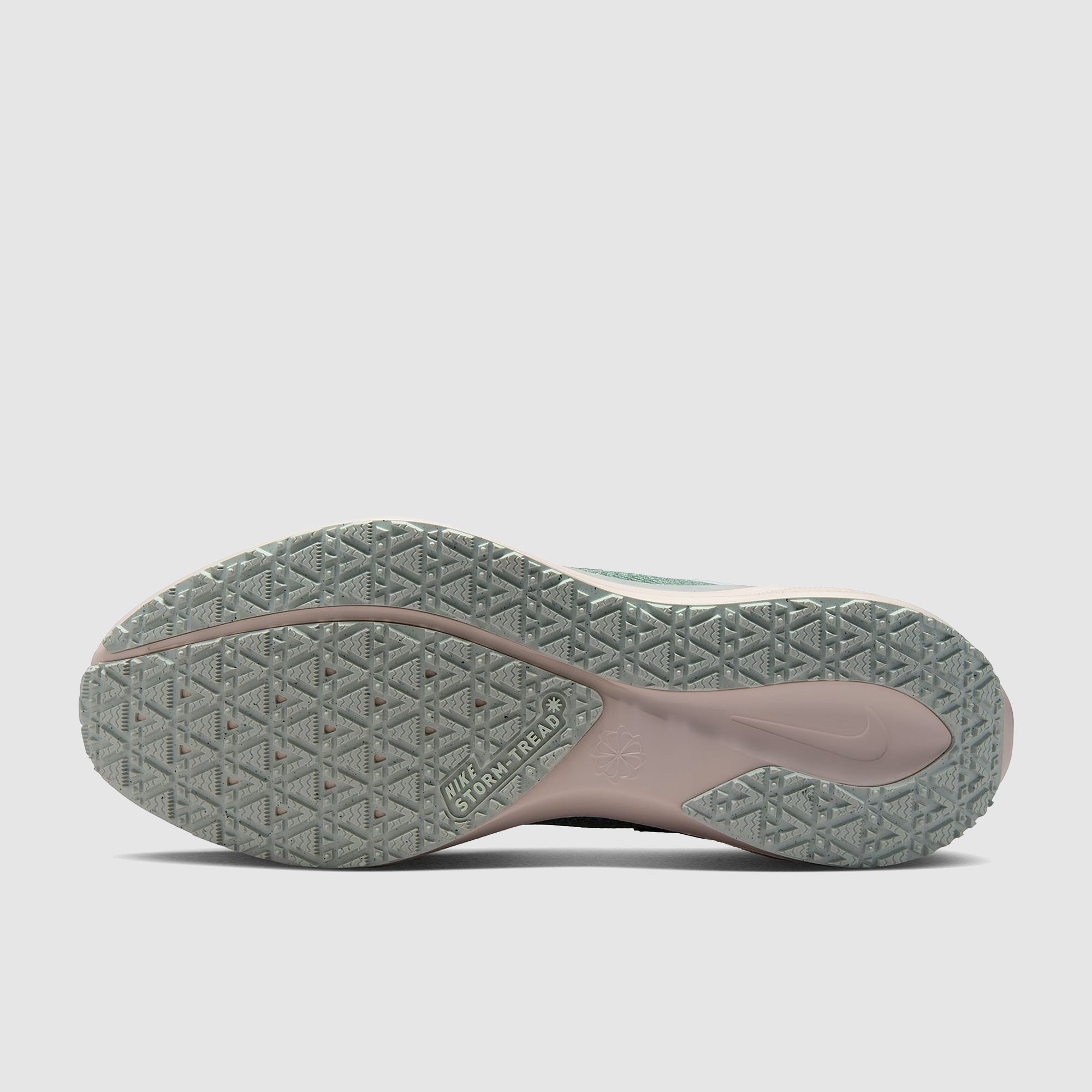 Nike Pegasus 41 GORE-TEX Waterproof