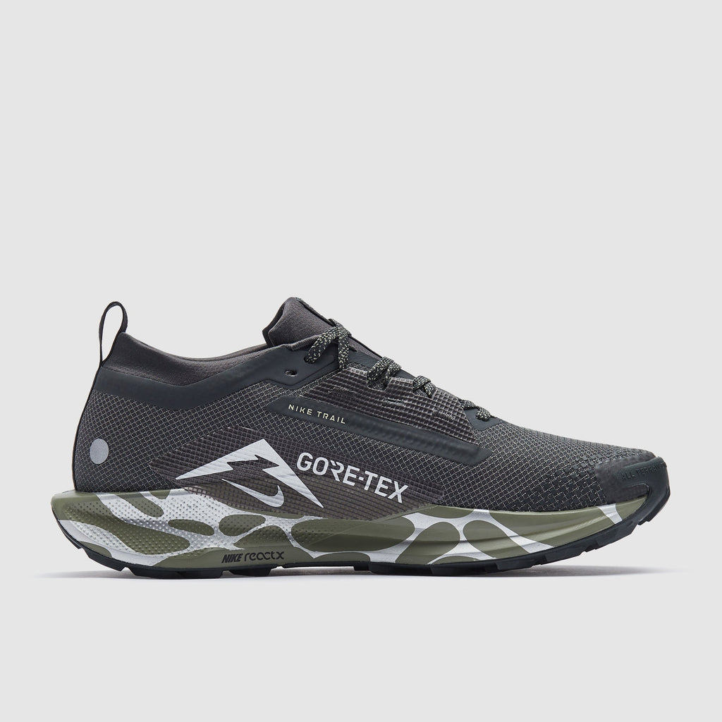 Nike Pegasus Trail 5 GORE-TEX