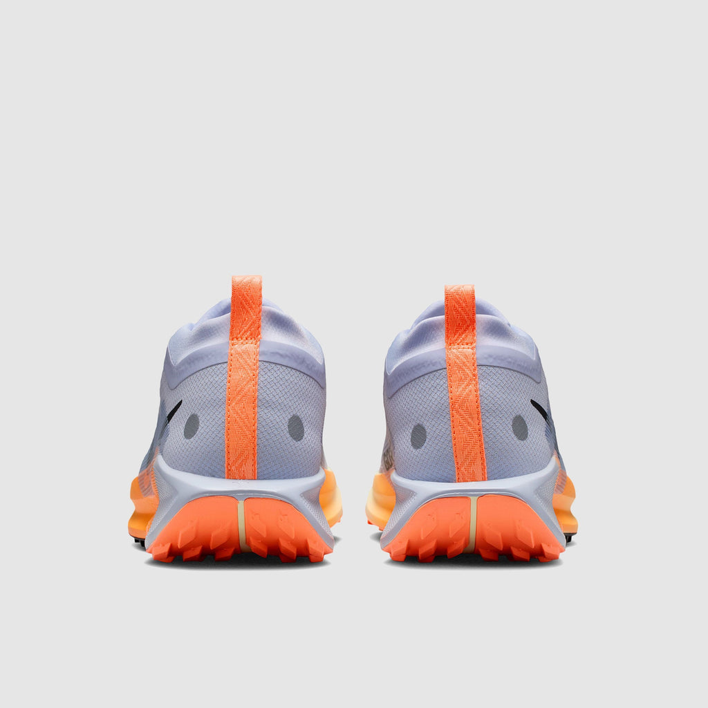 Nike Pegasus Trail 5 GORE-TEX Waterproof
