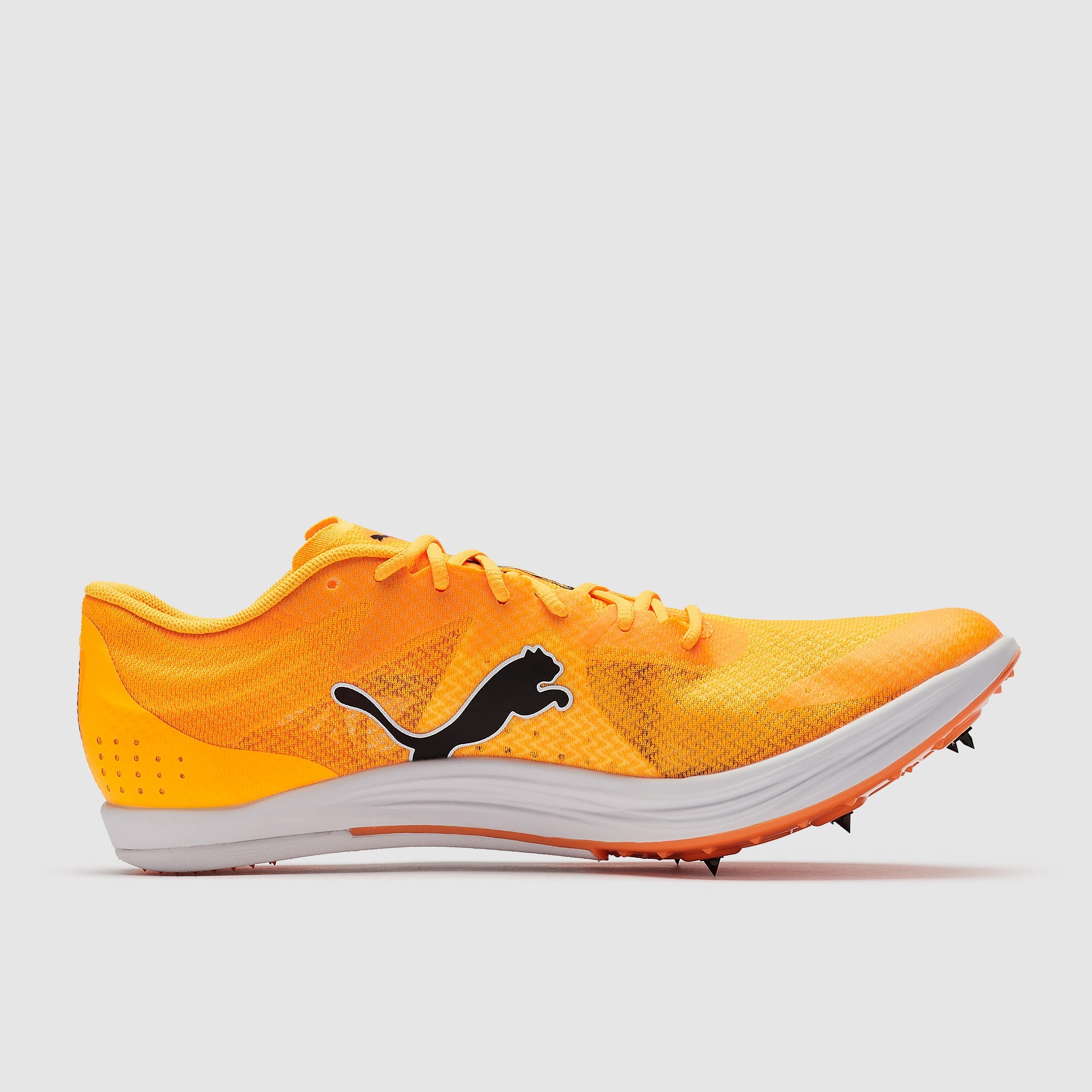 Puma evoSPEED Long Distance