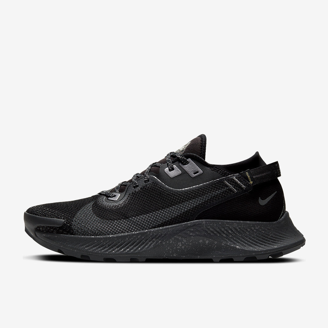 Nike Pegasus Trail 2 GORE-TEX - Black/Iron Grey