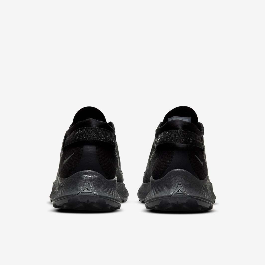 Nike Pegasus Trail 2 GORE-TEX - Black/Iron Grey