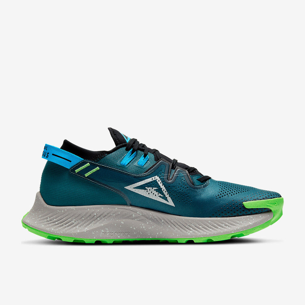 Nike Pegasus Trail 2