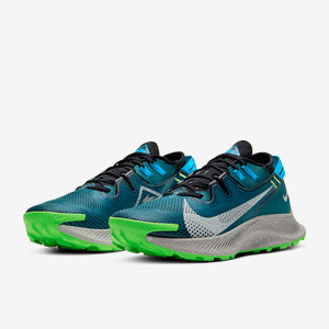 Nike Pegasus Trail 2
