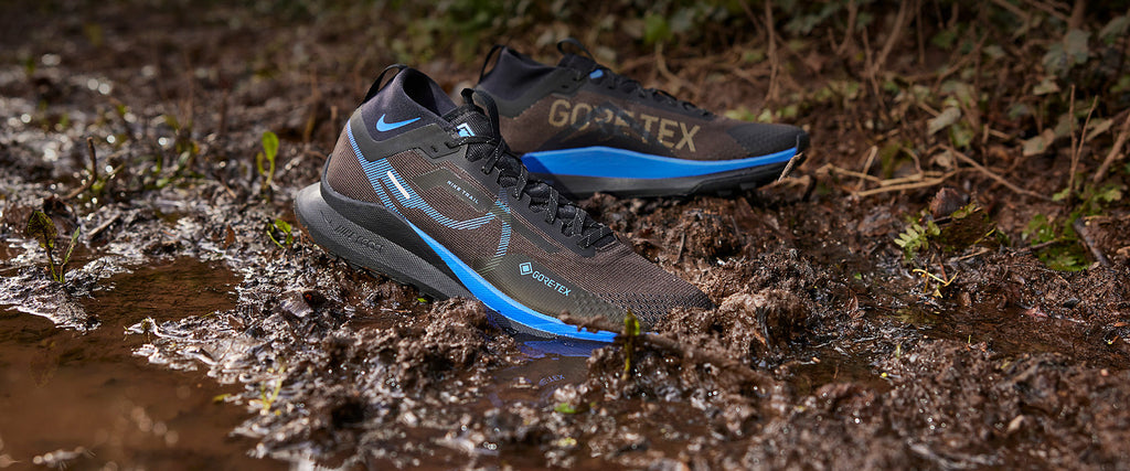 Nike Pegasus Trail 4 GORE-TEX