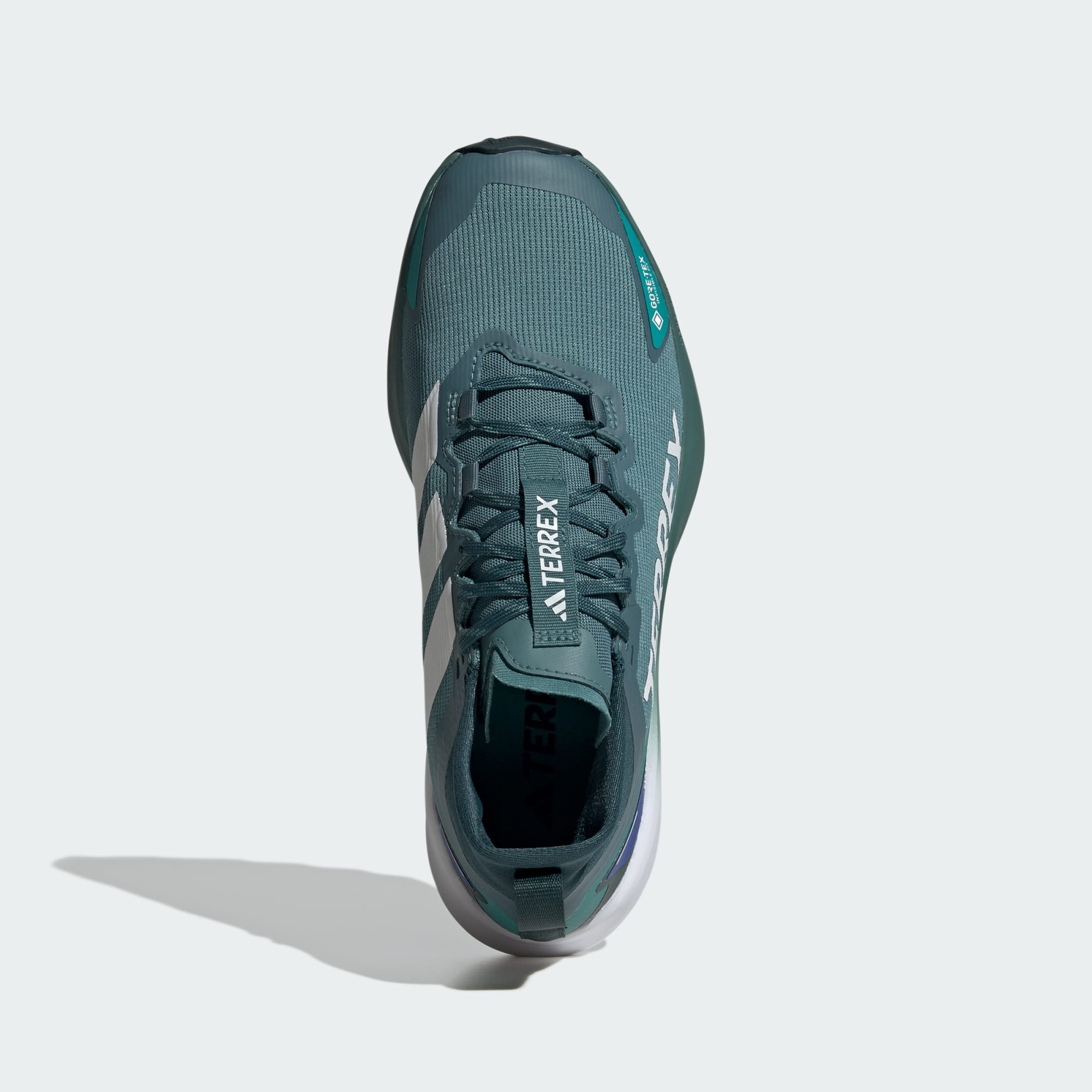adidas Terrex Agravic GTX Trail
