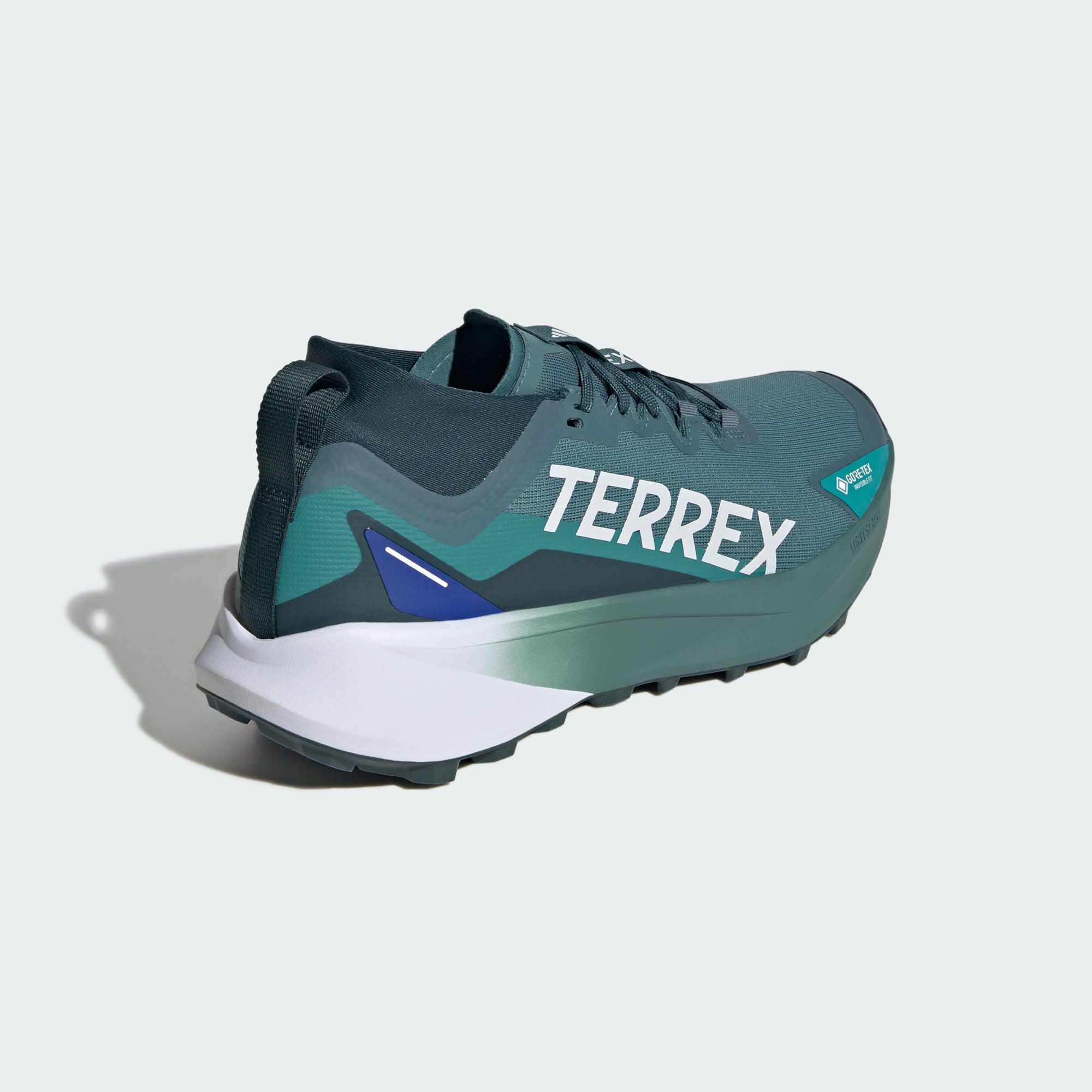 adidas Terrex Agravic GTX Trail