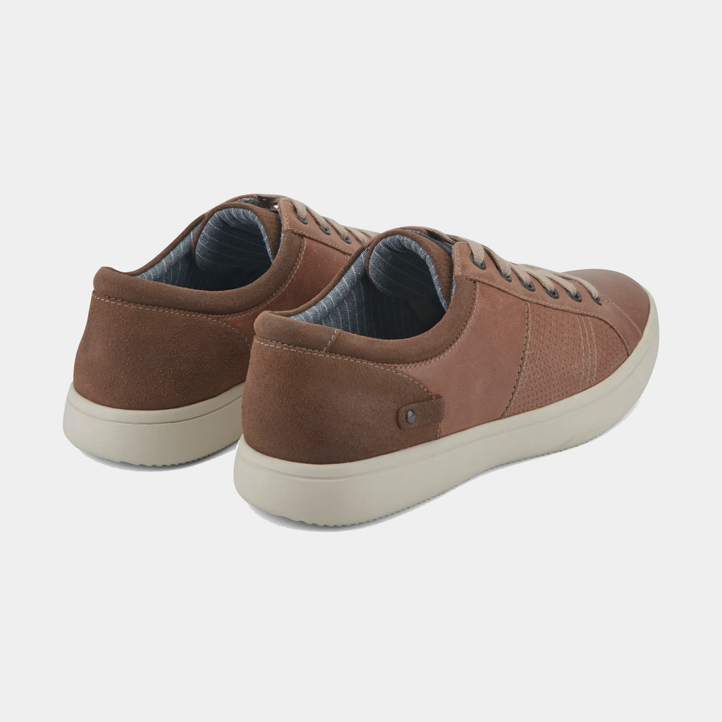 Colle Tie Sneakers - Premium Brand Shoes for Men and Women