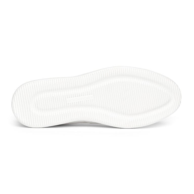 Colle Tie Sneakers - Premium Brand Shoes for Men and Women