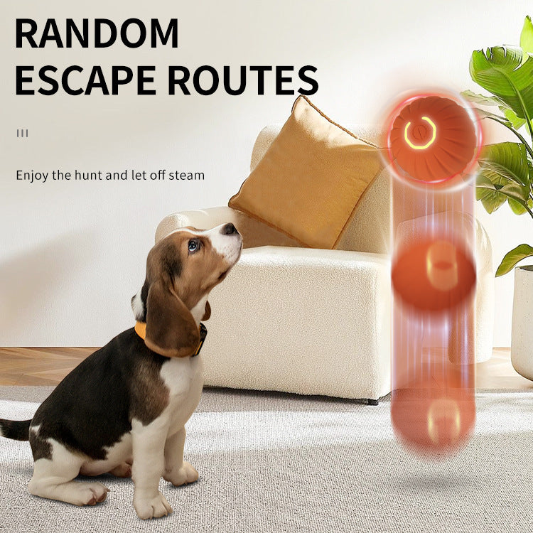 Gravity Bouncing Dog Ball Interactive Pet Chew Toy