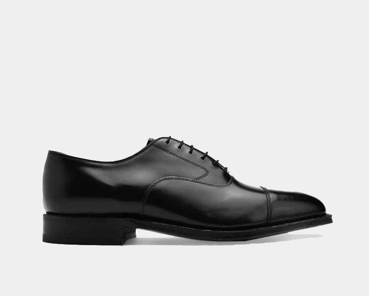 Melton Cap Toe Sneakers - Premium Brand Shoes for Men and Women
